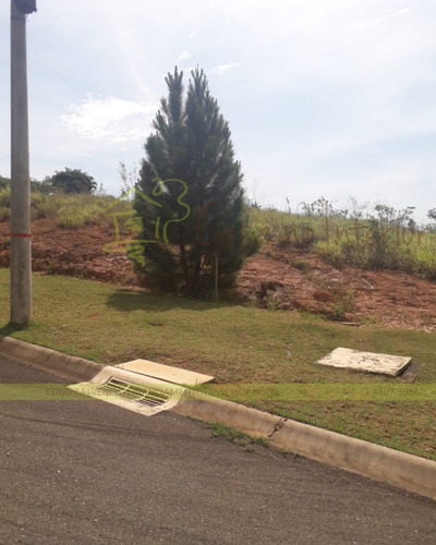 Imagem 21 de 21 de Terreno - Te00064 - 69210627
