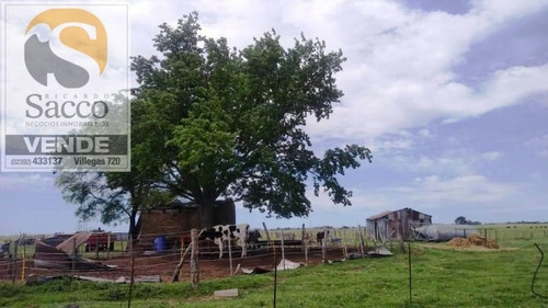 Imagen 6 de 14 de Campo Agrícola Ganadero En Venta En #pellegrini