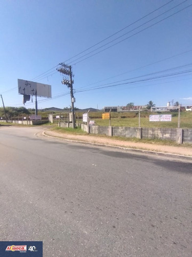 Imagem 4 de 15 de Terreno Para Venda No Bairro Cidade Industrial Satélite De São Paulo Em Guarulhos - Cod: Ai29734 - Ai29734