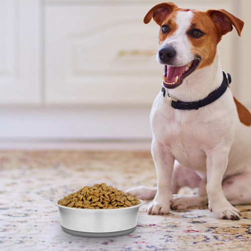 2 Cuenco De Acero Inoxidable Para Perros Con Base De 14cm