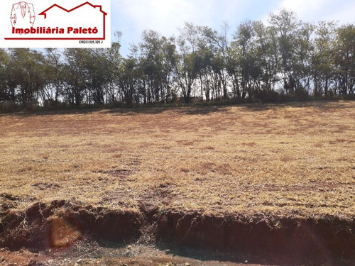 Imagem 2 de 6 de Terreno - 2286 - 69910171