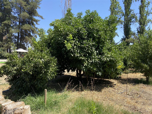 Casa En Venta De 8 Dorm. En Colina