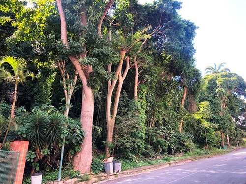 Imagen 4 de 6 de Estupendo Terreno En Venta En La Urbanización Miranda !!!