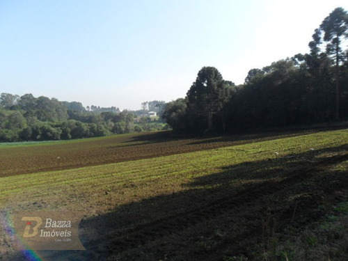 Imagem 8 de 16 de Rural Chacara Com 1 Quarto - 508-v