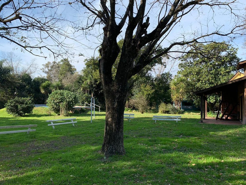 Imagen 4 de 26 de Quinta En Venta- Pilar