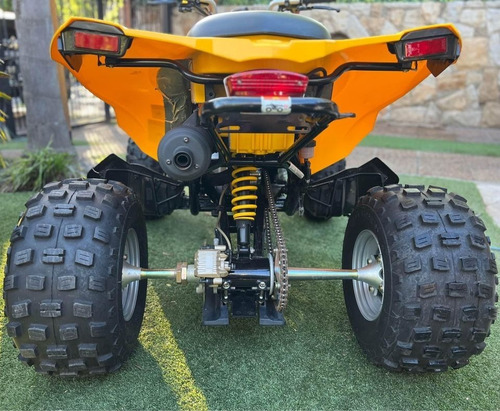 Imagen 5 de 7 de Can Am Ds 250 Impecable Como Nuevo!!!!