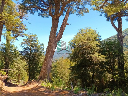 Hermosa Parcela En Los Refugios De Coñaripe