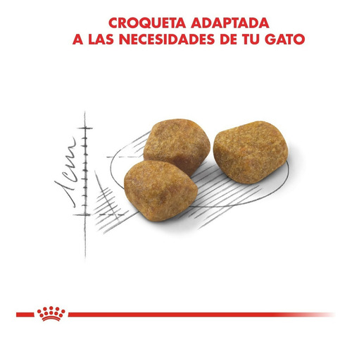 Imagen 4 de 5 de Alimento Royal Canin Feline Health Nutrition Indoor 7+ para gato senior todos los tamaños sabor mix en bolsa de 7.5 kg