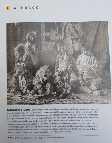 Revistas National Geographic - Lote (Usado)