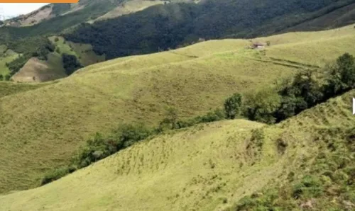 Bloque De 123 Hectareas Para Aguacate Hass En Abejorral