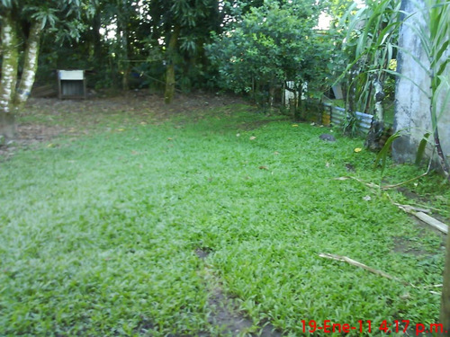 Imagen 3 de 7 de Vendo Casa Con Lote Grande En Guapiles Coopevigua 3