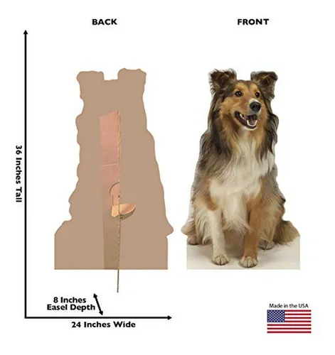 Gráficos Avanzados Collie Perro Tamaño De La Vida De Cartón