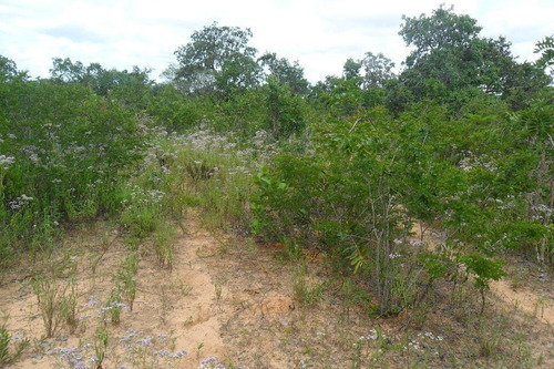 Fazenda Com 2 Dormitórios À Venda, 10599600 M² Por R$ 3.675.000,00 - Zona Rural - Bonfinópolis De Minas/mg - Fa0003