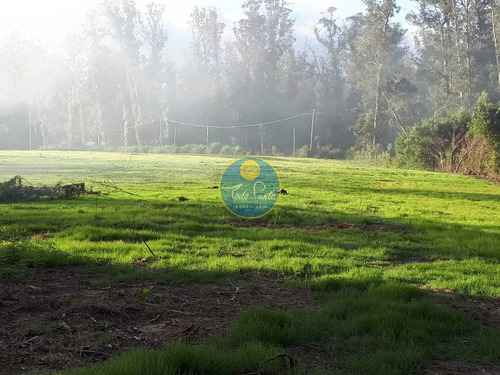 Terreno En Punta Del Este, Rincón Del Indio