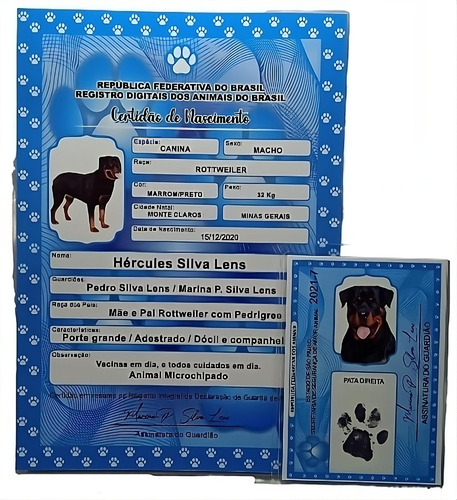 Certidão De Nascimento +  Rg Pet Todos Pets Plastificado 
