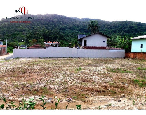 Imagem 6 de 13 de Terreno Comercial - Estaleirinho - Ref: 1882 - L-2392