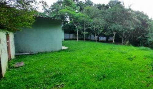 Imagem 8 de 14 de Chácara Rua Calçada Com Frutas Em Itariri | Aceita Financiar