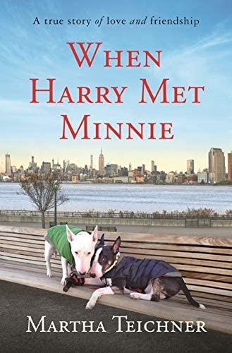When Harry Met Minnie: A True Story Of Love And Friendship, De Teichner, Martha. Editorial Celadon Books, Tapa Dura En Inglés