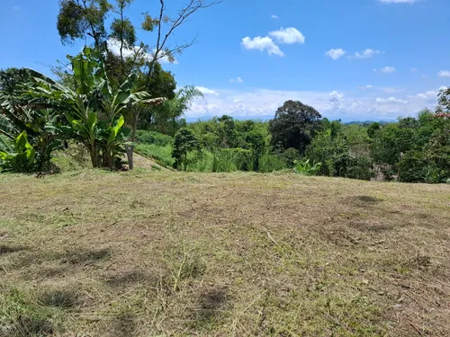 Oportunidad De Inversión! Excelente Ubicación Lote Campestre