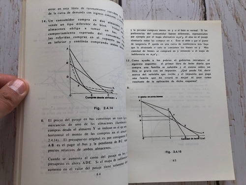 Problemas Resueltos De Microeconomía / Raúl Espinosa Wellman (Usado)