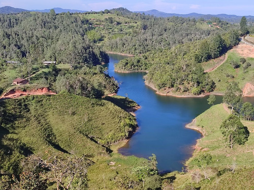 Finca En Venta El Peñol Antioquia Parcelar 36,000 M2 El Marial. 