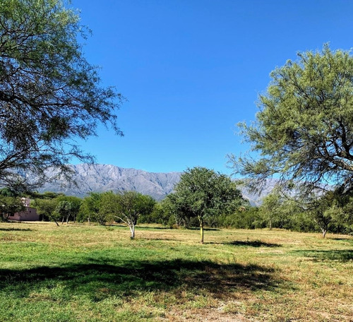 Terreno En San Javier