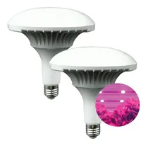 Comprar Lampara Indoor De Crecimiento Para Cultivo Interior 50w X 2