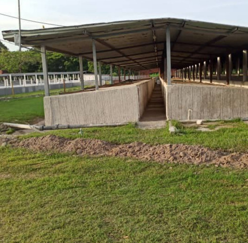 Imagen 4 de 17 de Complejo Porcino En Barquisimeto, Lara Operativo En Venta