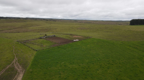 Campo Ganadero En Rocha 350ha (ref: Atm-7301)
