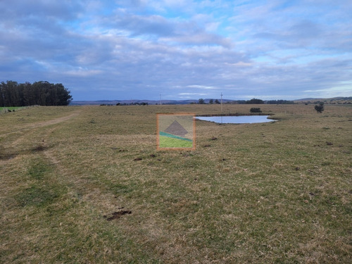 Imagen 21 de 26 de Campo De 34 Hás Con Casa Ruta 12 Pueblo Edén