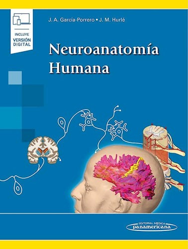 Neuroanatomía Humana García-porrero - Hurlé / Panamericana 