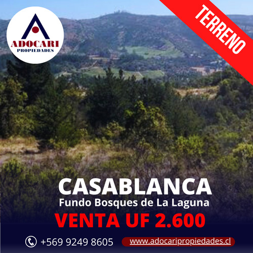 Casablanca / Terreno / Fundo Bosques De La Laguna/ 22.000 M2