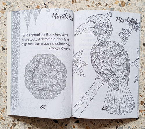 Mandalas De Animales Varios + Caja De 12 Colores