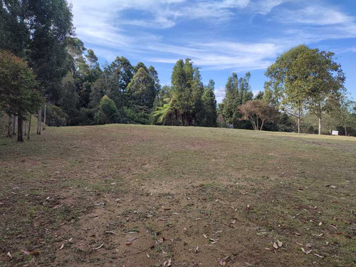 Lote En Venta Rionegro Tablazo Vía - Aeropuerto Lc