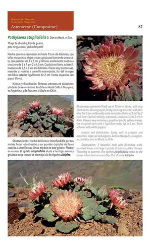 Flores Alta Montaña Plantas Patagonia Y Andes Centrales Arg