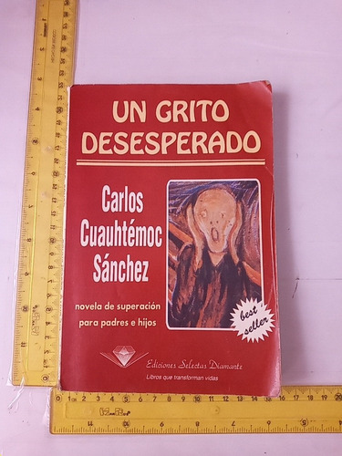 Un Grito Desesperado Carlos Cuauhtémoc Sánchez