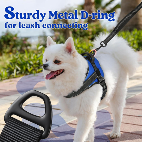Arnés Para Perro Rabbitgoo, No Pull, Ajustable, Tamaño S