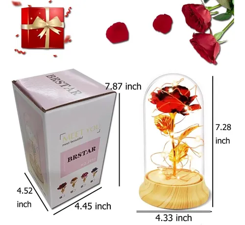Rosa Roja Eterna Amor Por Siempre Flor + Luz Led + Domo Usb.