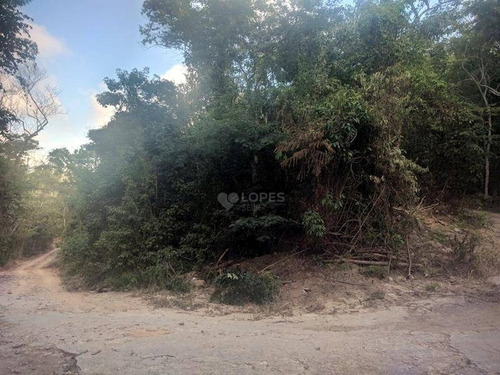 Imagem 3 de 6 de Ótima Área Plana, Em Meio À Muito Verde, 6210 M², R$ 500.000,00 - Rio Do Ouro - Niterói/rj - Te4312