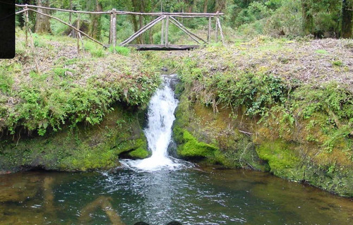Carretera Austral (68849)