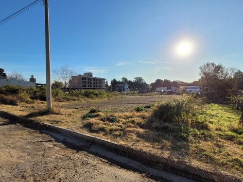 Imagen 4 de 6 de Amplio Terreno Nivelado: 13,95 X 40 - 560 M2 - Sobre Asfalto