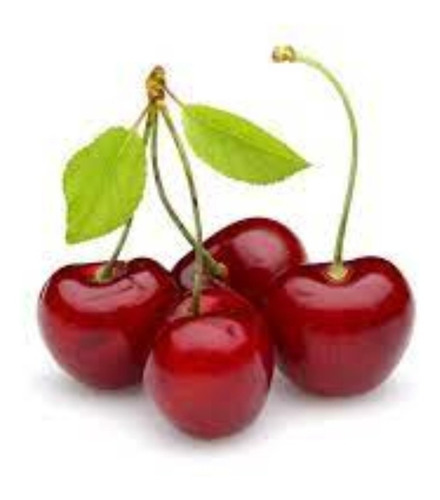 Imagen 3 de 10 de Guindo Arbol-prunus Cerasus 1.7mts.e.gratiscaba-gba