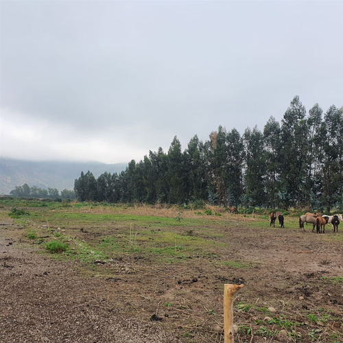 Excelente Terreno En Sector Roma San Fernando