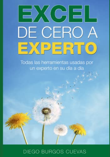 Excel De Cero A Experto: Todas Las Herramientas Usadas Por 