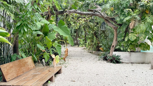 Terreno En Venta Tulum Centro, Huaya Camp