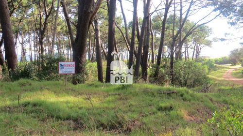 Imagen 1 de 5 de Terreno En Ocean Park - Ref : Pbi3014 - Punta Ballena Ocean Park