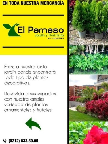 Tierra Abonada Por Sacos Y Por Metros