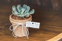 Imagen 10 de 10 de Recuerdos Plantas, Cactus Y Suculentas, Souvenirs, Barro