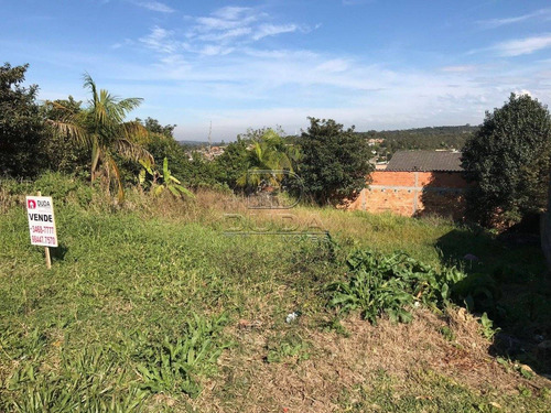 Imagem 4 de 7 de Terreno - Ana Maria - Ref: 7533 - V-7533