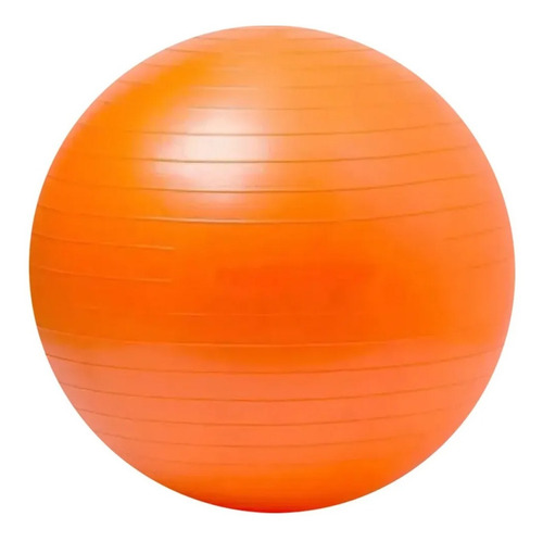 Pelota De Esferodinamia Mir 45 Cm Reforzada Yoga Pilates Gym